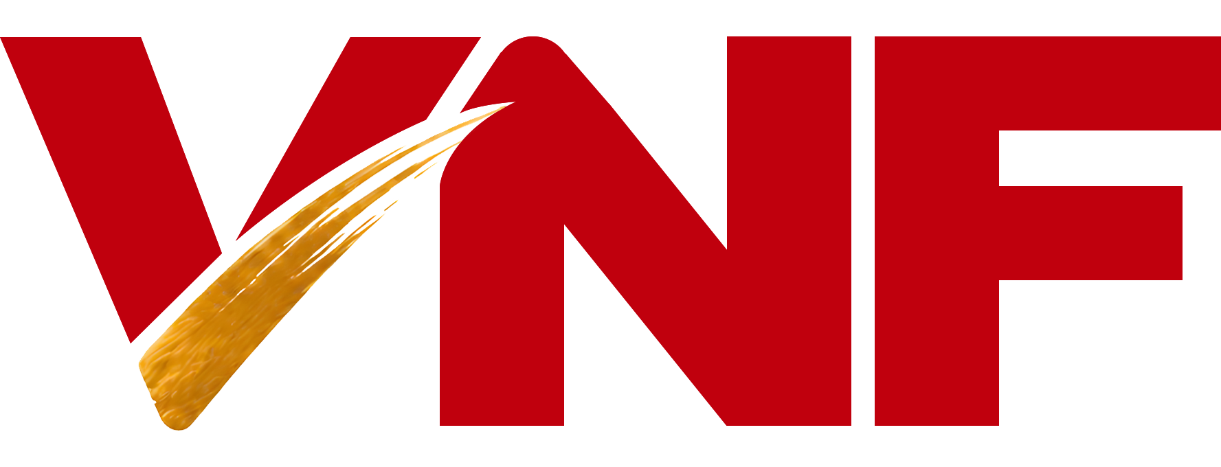 VnFactory